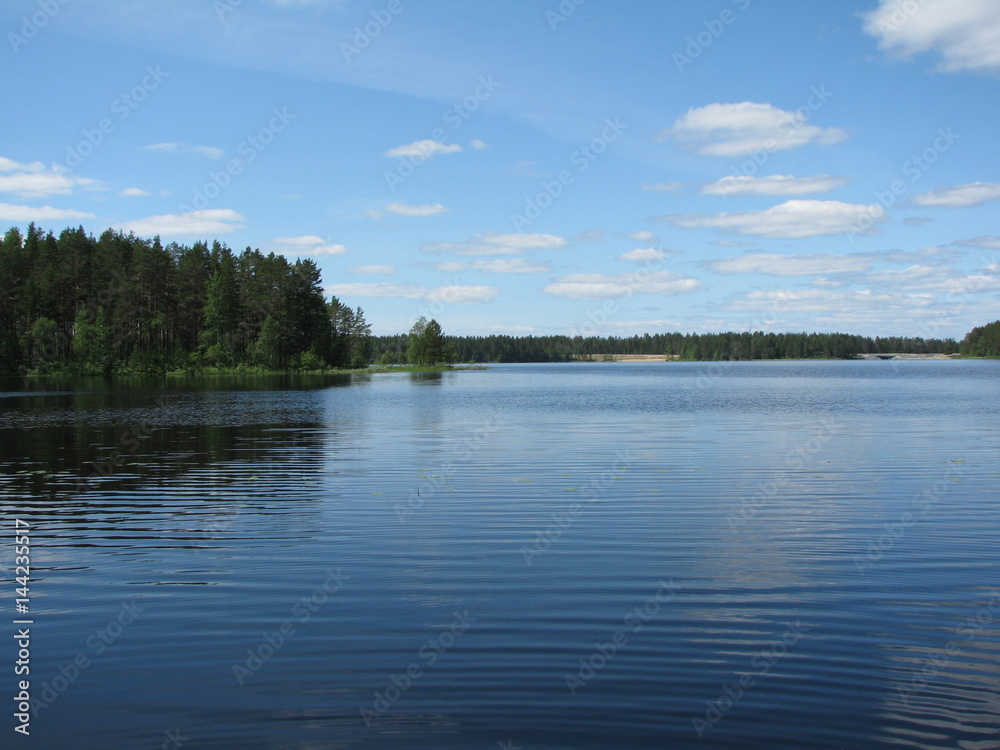 Landscape with the rough river. Karelia