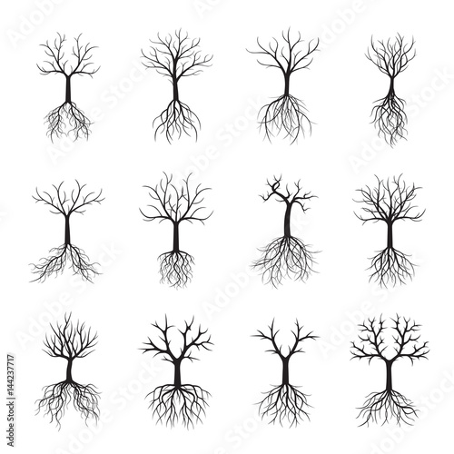 Set black Trees with Roots. Vector Illustration.