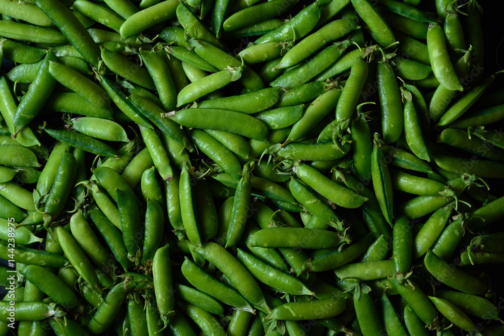 Green food background. Horizontal view. Peas  pods pattern