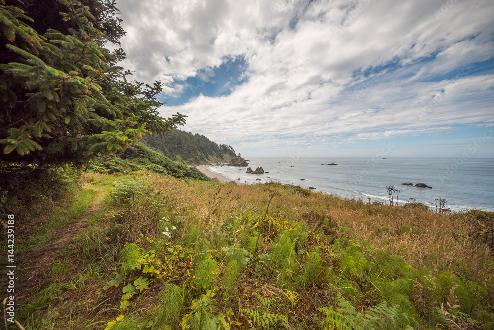 Obraz premium View of the beach from the cliff. Beautiful blue sea. Redwood national and state parks. California, USA