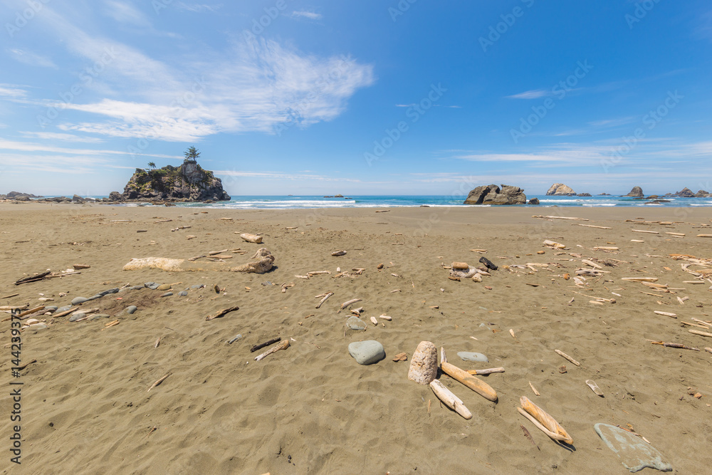 Naklejka premium A huge sandy beach with large stones. Redwood national and state parks. California, USA