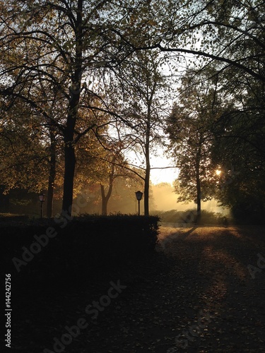 Park bei Sonnenaufgang
