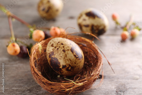 Easter egg in nest against blurred background