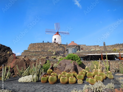 Jardín de Cactus - Kaktusgarten mit Windmühle auf Lanzarote 6 photo