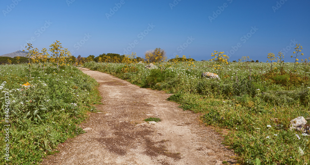 Rural landscape with dirt path
