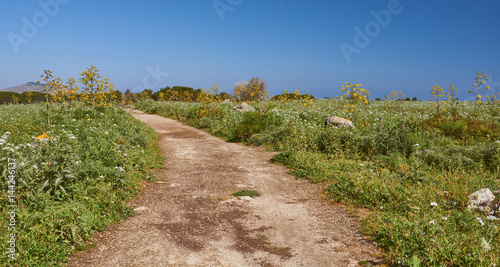 Rural landscape with dirt path
