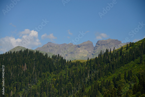 Mountains of Abkhazia, covered with evergreen coniferous forests, in the foreground, field grass