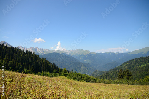 Mountains of Abkhazia, covered with evergreen coniferous forests, in the foreground, field grass