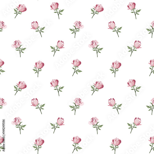 Seamless pattern with colorful roses.Floral vector with pink flower.Textile texture