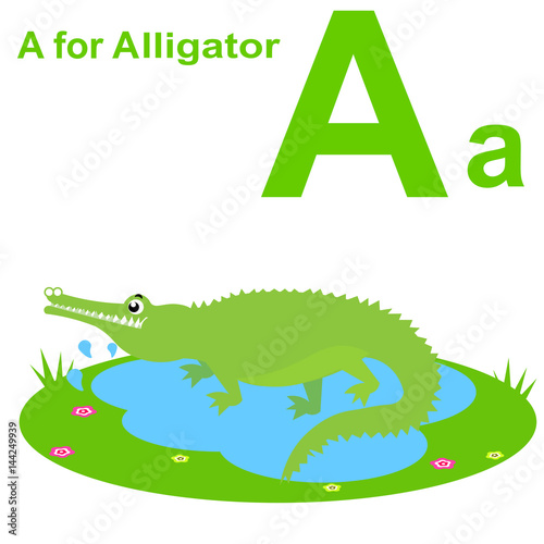 Fototapeta Naklejka Na Ścianę i Meble -  A for alligator kids alphabet