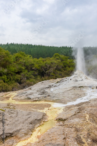 Lady Knox Geyser in Waiotapu 