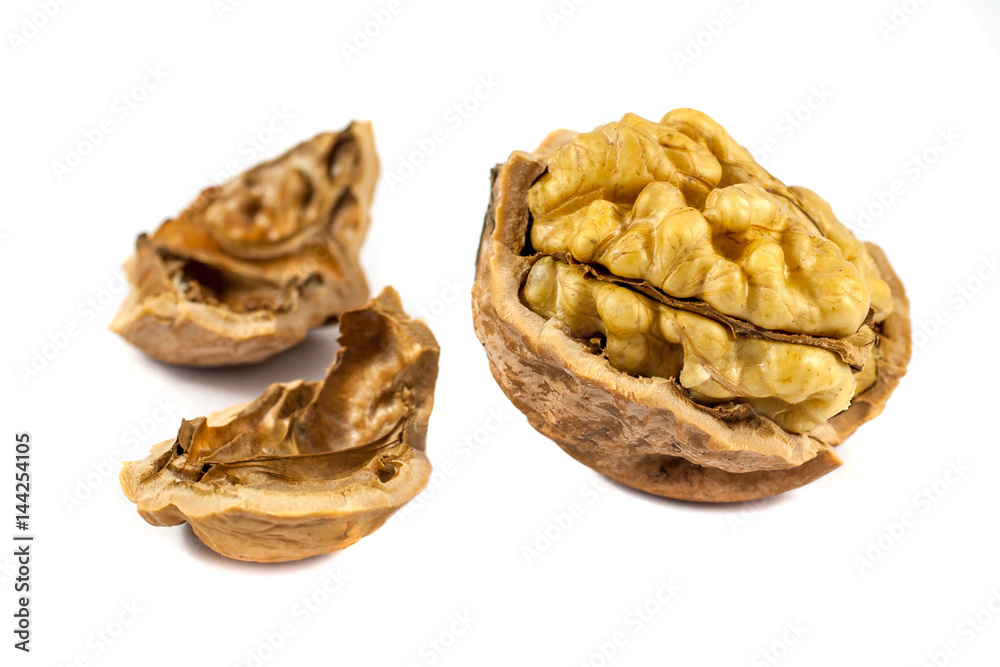 walnuts in shell isolated on white background walnuts in shell isolated on white background