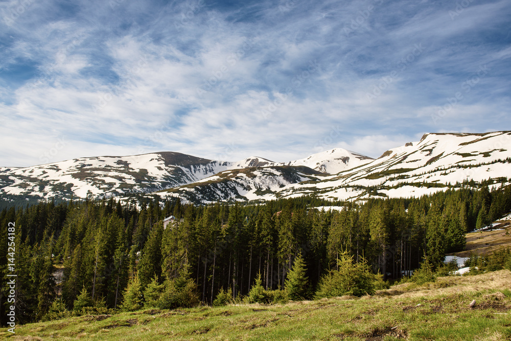 Spring mountain landscape with snow and fir forest. Dramatic clouds lying on the horizon and sun is shining. Natural outdoor travel background in retro hipster style.