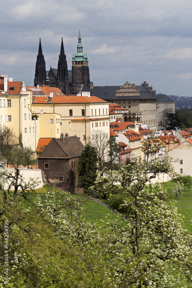 Obraz premium Spring Prague gothic Castle with the green Nature and flowering Trees, Czech Republic