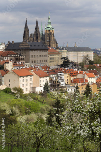 Canvas Print Spring Prague gothic Castle with the green Nature and flowering Trees, Czech Rep