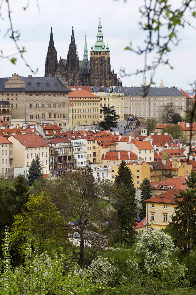 Spring Prague gothic Castle with the green Nature and flowering Trees, Czech Republic