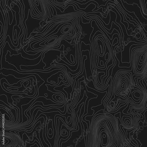 Vector abstract earth relief map. Generated conceptual elevation map. Isolines of landscape surface elevation. Geographic map conceptual design. Elegant background for presentations.