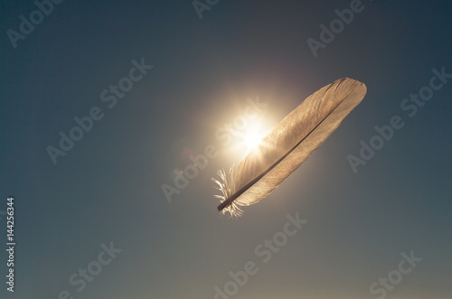 Feeling light as a feather. Feather floating in the sky.