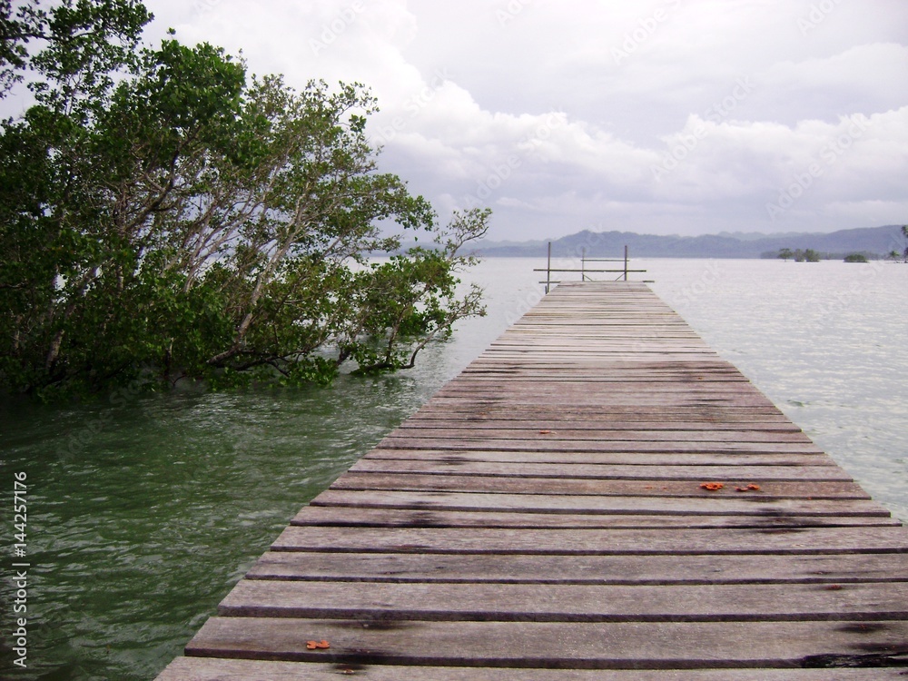 Wooden walkway on the beach, Philippines A wooden walkway in Kansilad, Lianga, Surigao del Sur Wooden walkway on the beach, Philippines A wooden walkway in Kansilad, Lianga, Surigao del Sur