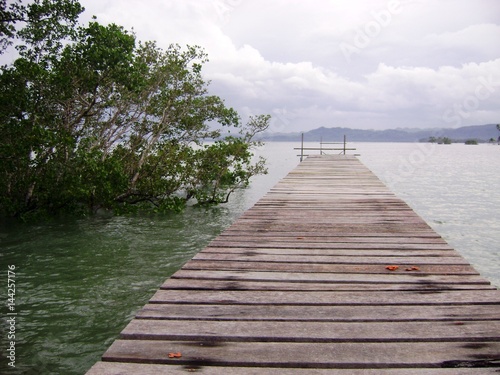 Wooden walkway on the beach, Philippines A wooden walkway in Kansilad, Lianga, Surigao del Sur photo