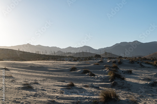 Fototapeta Naklejka Na Ścianę i Meble -  sunset over sand dunes