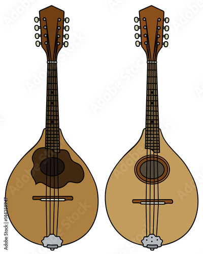 Two classic portugal mandolins