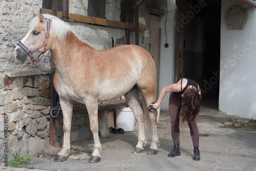 Young woman brushing her horse