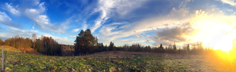 Obraz premium Pine hill on a background of blue sky and a spring field with a last year grass