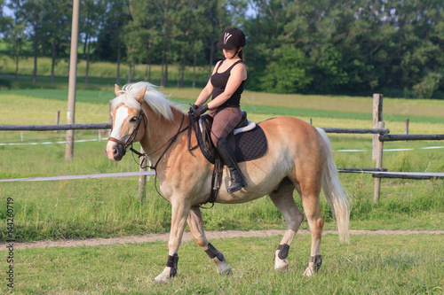 A young woman riding a horse Haflinger