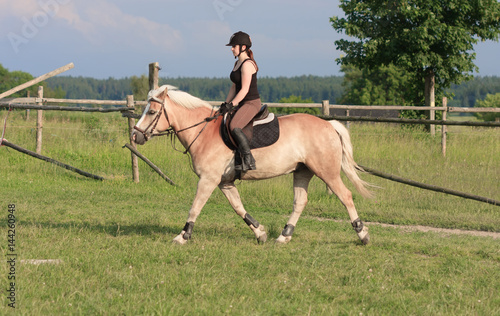 A young woman riding a horse Haflinger