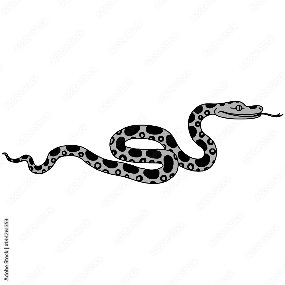 Naklejka premium Vector illustration of tropical snake