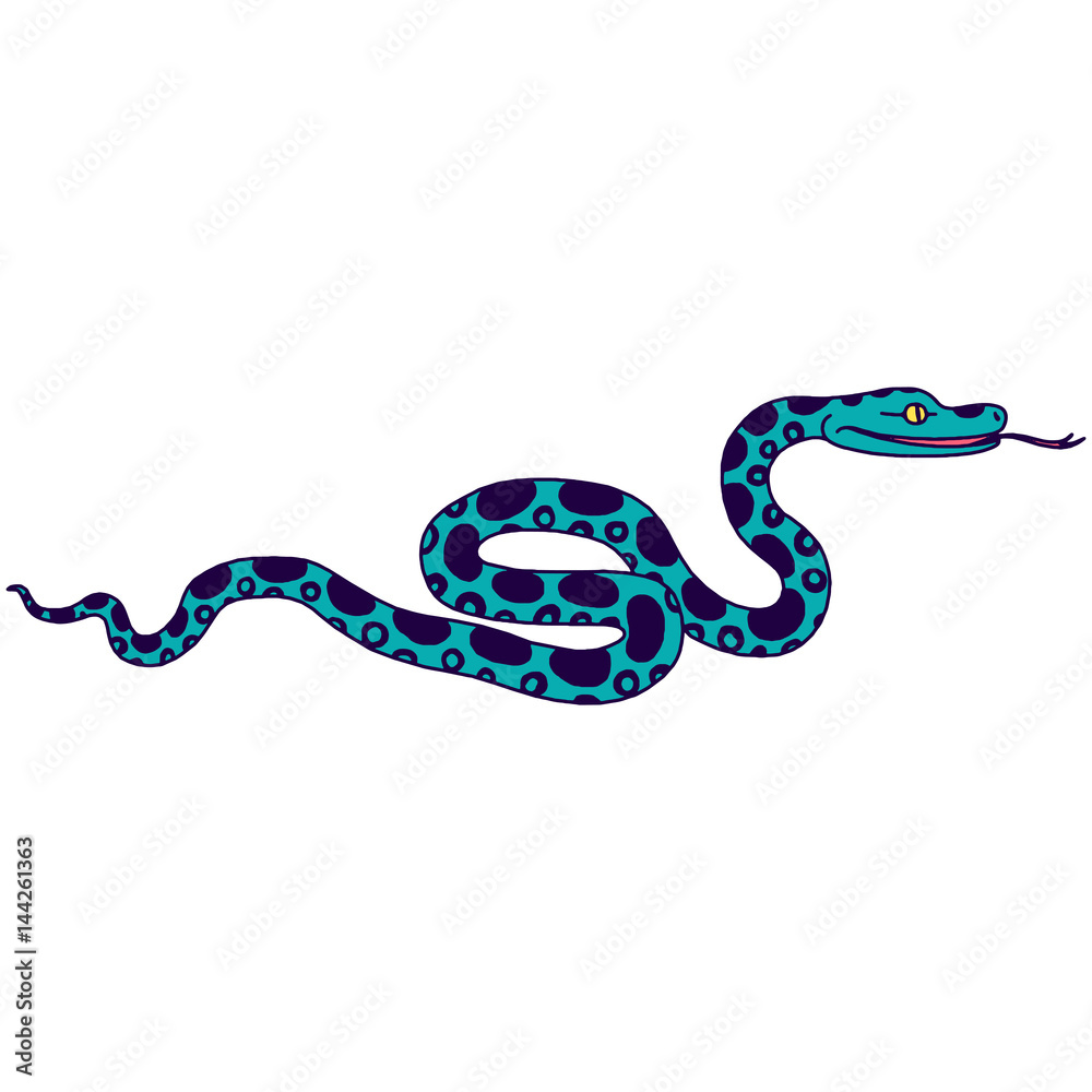 Fototapeta premium Vector illustration of tropical snake