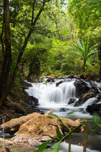 Waterfall in the forest