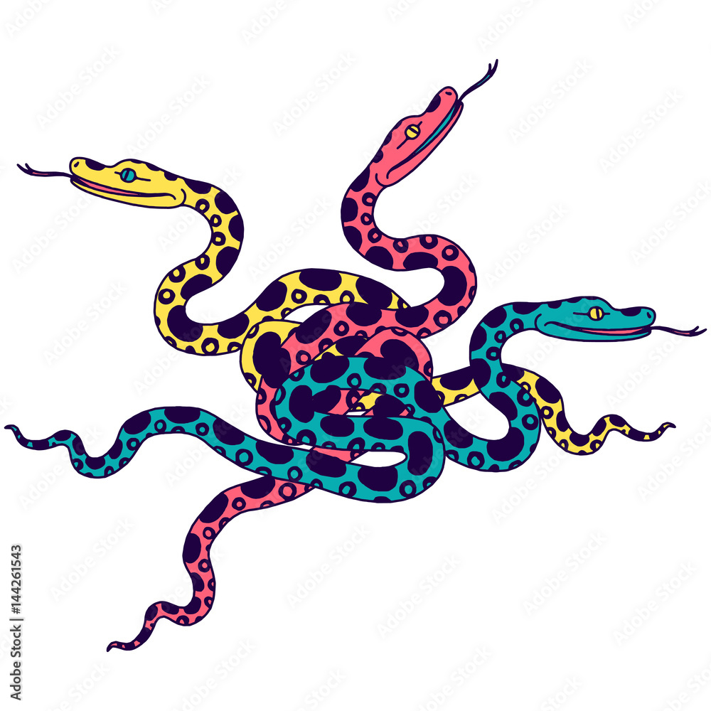 Obraz premium Vector illustration of tropical snake