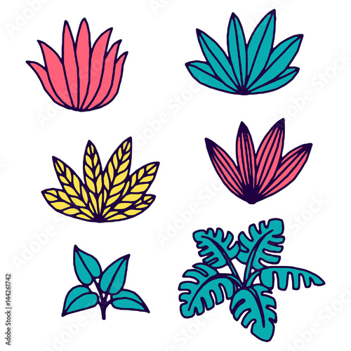 Vector tropical plants and leaves