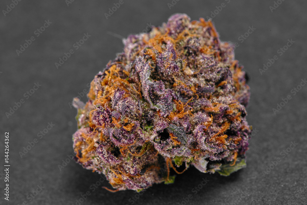 Close up of XXX indica strain prescription medical marijuana bud Close up of XXX indica strain prescription medical marijuana bud