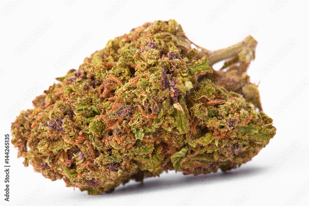 Close up of J1 strain prescription medical marijuana bud Close up of J1 strain prescription medical marijuana bud