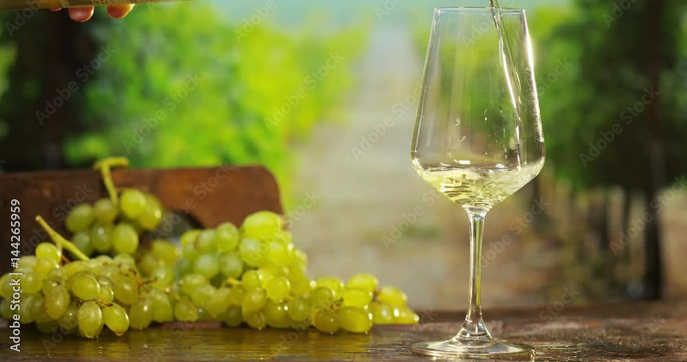 sommelier in vineyard pouring italian white wine in glass in slow motion sommelier in vineyard pouring italian white wine in glass in slow motion