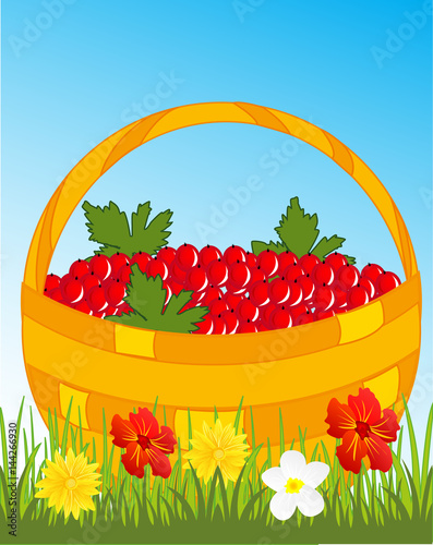 Basket with berry