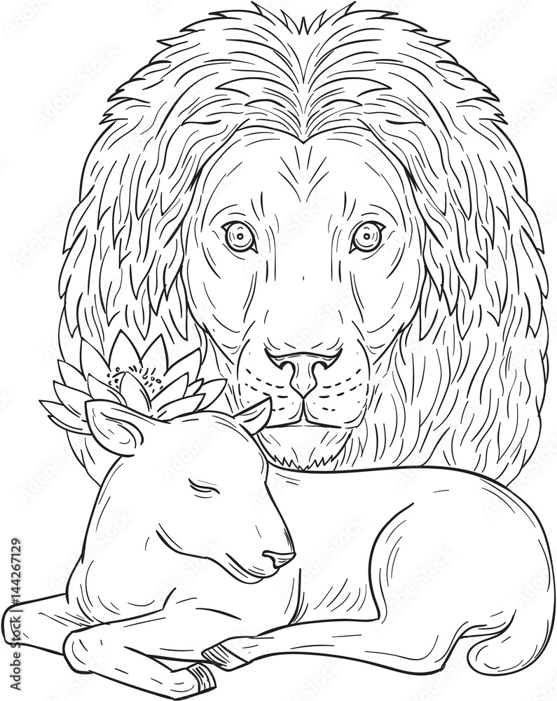 Fototapeta premium Lion Watching Over Sleeping Lamb Drawing