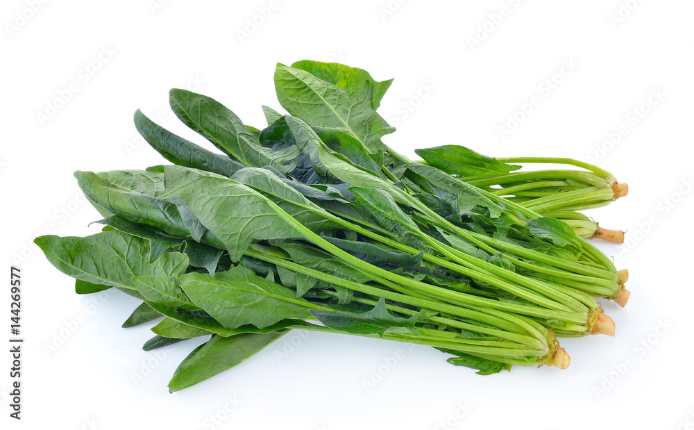 Spinach leaves isolated on white background Spinach leaves isolated on white background