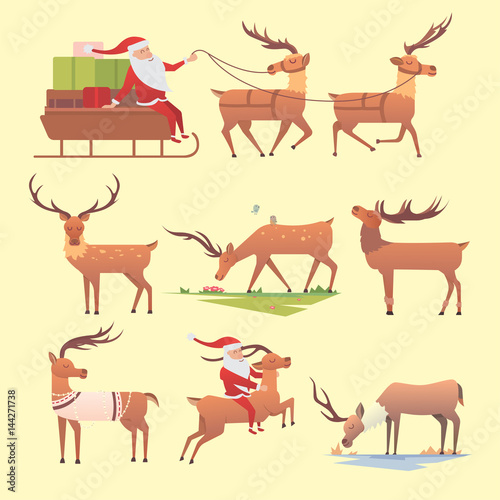 Christmas reindeer holiday mammal deer xmas celebration cute decoration winter art new year wildlife animal and santa man character vector illustration.