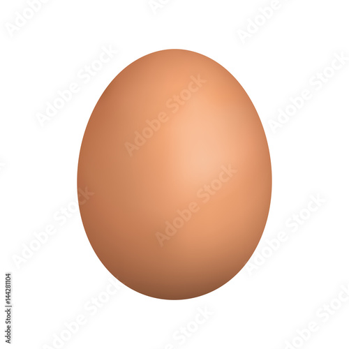 vector realistic brown egg. Isolated egg on white background.