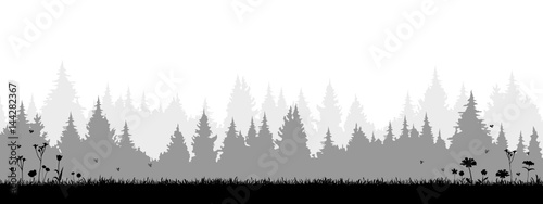 Silhouette Wiese Wald