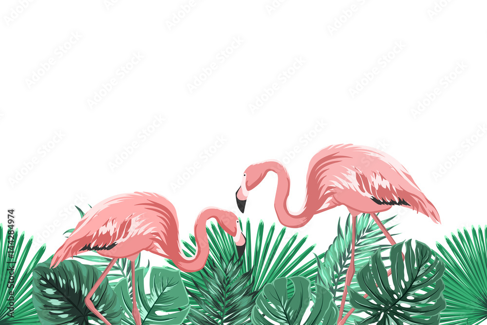Fototapeta Tropikalne liście lasów tropikalnych i egzotyczne różowe flamingi łączą się w naturalnym środowisku. Element projektu poziomej granicy stopki poziomej. Ilustracji wektorowych projektowania.