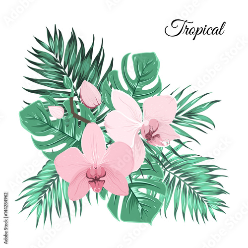 Elegant tender pink orchid flowers branch foliage bouquet composition decorated with green exotic tropical leaves. Isolated on white background.