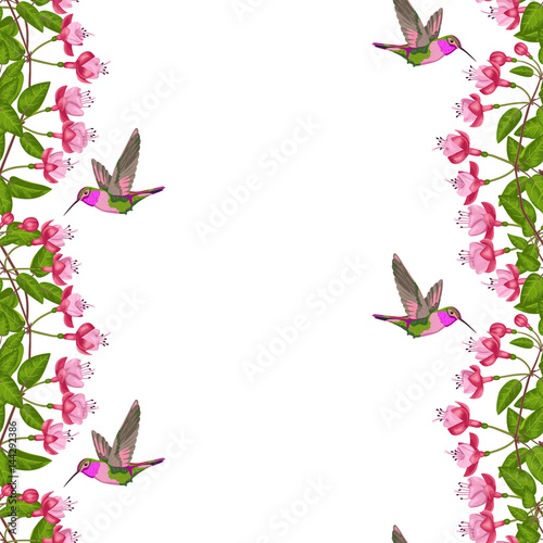 Fototapeta Naklejka Na Ścianę i Meble -  Fuchsia and Hummingbird Seamless Border