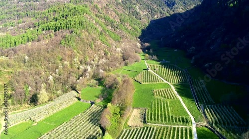 Aerial 4k - Meleti della Valtellina (IT) - Zona Chiuro photo