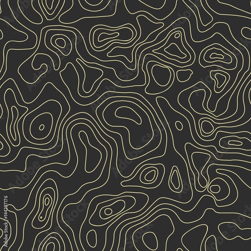 Vector abstract earth relief map seamless pattern. Generated conceptual elevation map. Isolines of landscape surface elevation. Geographic map conceptual design. Elegant background for presentations.