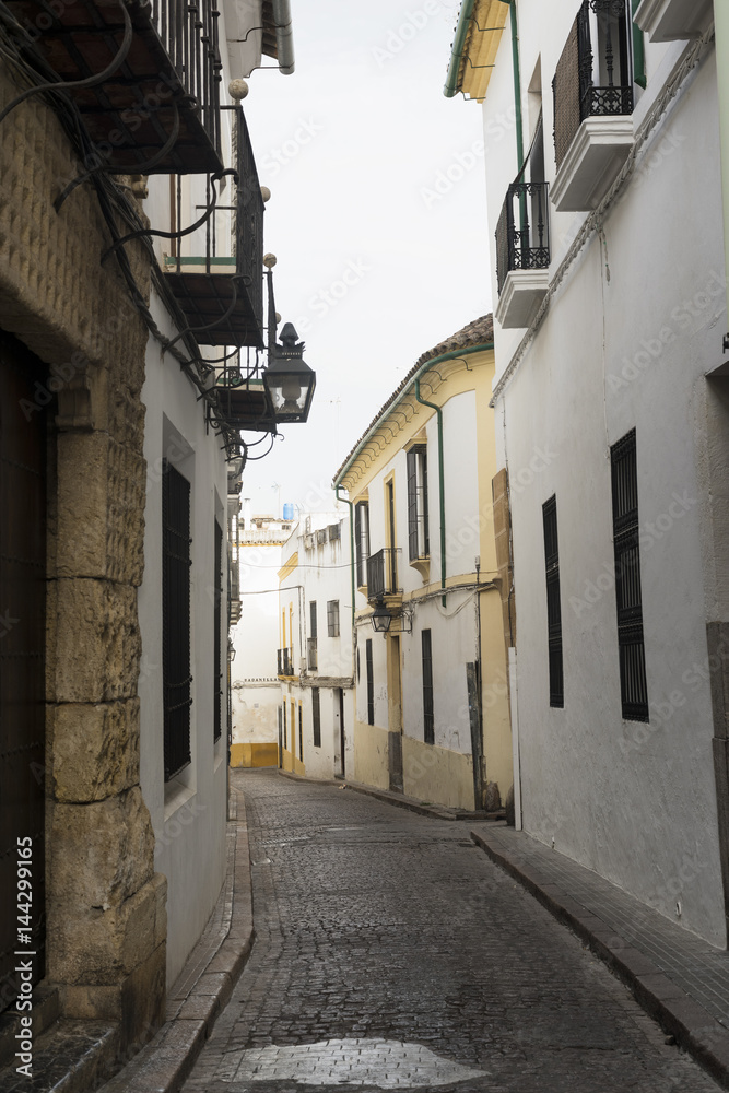Obraz premium Cordoba (Andalucia, Spain): street